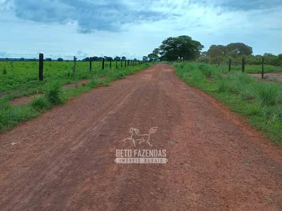 Fazenda / Sítio / Chácara à venda, 76850000m² no , Formoso do Araguaia