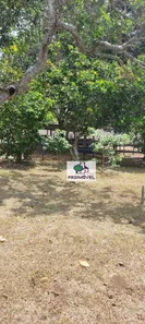 Fazenda / Sítio / Chácara com 6 Quartos à venda, 350m² no Santana, Gravatá