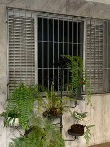 Casa com 3 Quartos para alugar, 100m² no Vila da Saúde, São Paulo