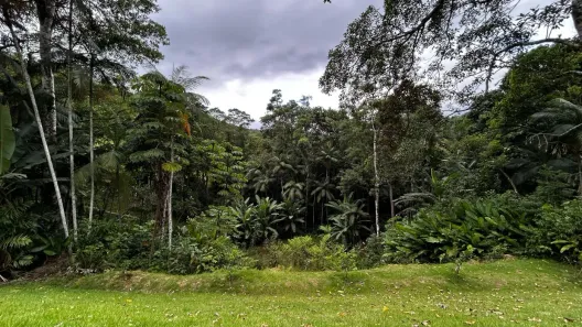Fazenda / Sítio / Chácara com 2 Quartos à venda, 7000m² no Centro, Águas Mornas