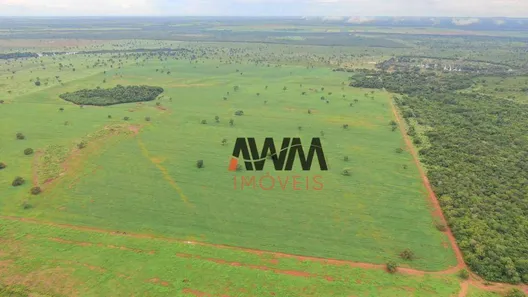 Fazenda / Sítio / Chácara à venda, 52270000m² no Javaés, Lagoa da Confusão