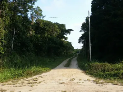Terreno / Lote / Condomínio à venda, 5000m² no Praia do Ervino, São Francisco do Sul