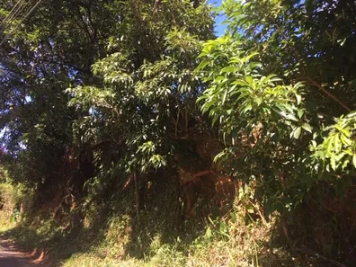Terreno / Lote / Condomínio à venda, 10m² no Castelanea, Petrópolis