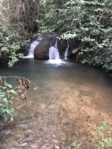 Fazenda / Sítio / Chácara à venda, 155000000m² no Centro, Formosa