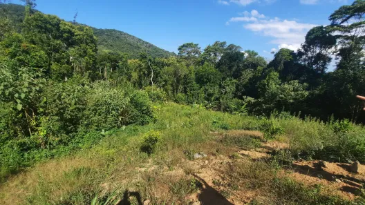 Fazenda / Sítio / Chácara com 2 Quartos à venda, 20000m² no , Águas Mornas
