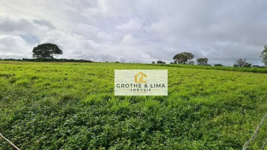 Fazenda / Sítio / Chácara com 10 Quartos à venda, 600m² no Centro, Lagoa da Confusão