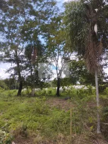 Fazenda / Sítio / Chácara à venda, 6m² no , Divinópolis do Tocantins