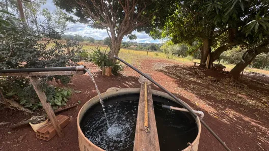 Fazenda / Sítio / Chácara com 2 Quartos à venda, 5900m² no , Nerópolis