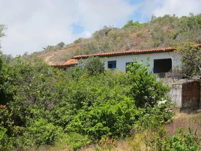 Fazenda / Sítio / Chácara à venda, 78905m² no , Conde