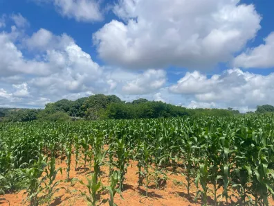 Fazenda / Sítio / Chácara com 4 Quartos à venda, 12000m² no Quintas Paraíso - Etapa A, Águas Lindas de Goiás