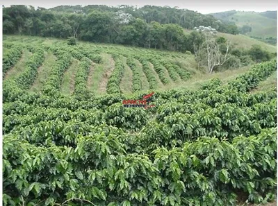 Fazenda / Sítio / Chácara com 1 Quarto à venda, 93600m² no Área Rural de Viçosa, Viçosa