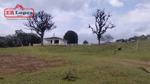 Fazenda / Sítio / Chácara com 2 Quartos à venda, 33445m² no Santa Gema, Colombo