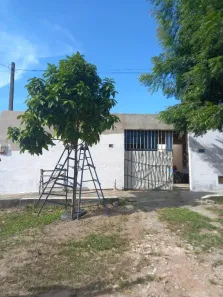 Casa com 2 Quartos à venda, 150m² no , Extremoz