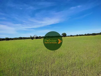 Fazenda / Sítio / Chácara à venda, 13552000m² no , Formoso do Araguaia
