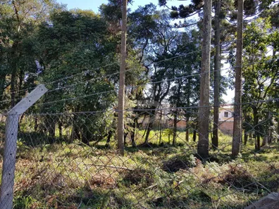 Terreno / Lote / Condomínio à venda, 5856m² no Vila Solene, Campo Largo