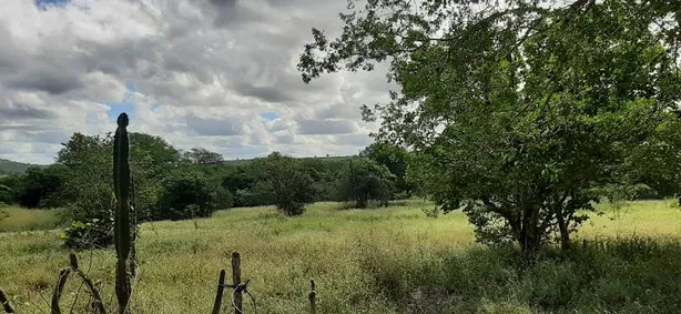 Fazenda / Sítio / Chácara com 3 Quartos à venda, 100m² no Alpes Suiços, Gravatá