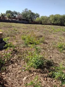 Terreno / Lote / Condomínio para venda ou aluguel, 5000m² no Recreio das Acácias, Ribeirão Preto