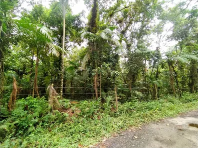 Terreno / Lote / Condomínio à venda, 5000m² no Jardim Ouro Fino, Paranaguá