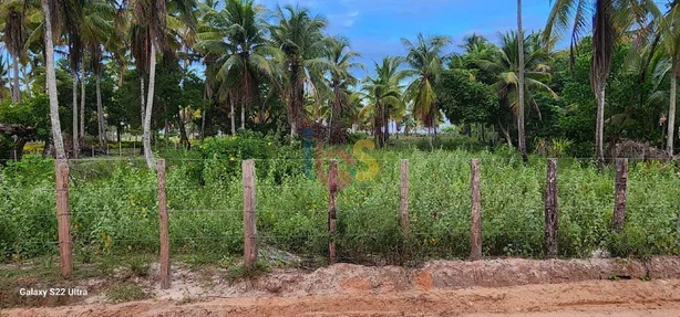 Terreno / Lote / Condomínio à venda, 8500m² no Canavieiras, Canavieiras
