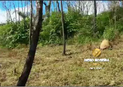 Terreno / Lote / Condomínio à venda, 602m² no Pedra Vermelha (Terra Preta), Mairiporã