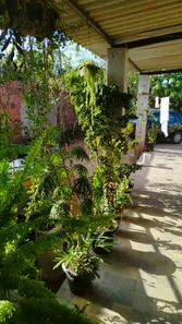 Casa de Condomínio com 2 Quartos à venda, 200m² no Ponte Alta Norte, Brasília