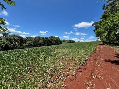 Fazenda / Sítio / Chácara com 6 Quartos à venda, 4m² no Parque Industrial José Garcia Gimenes, Cambé