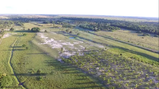 Terreno / Lote / Condomínio à venda, 150000m² no , Prado