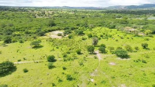 Fazenda / Sítio / Chácara com 9 Quartos à venda, 152000m² no Área Rural de Gravatá, Gravatá