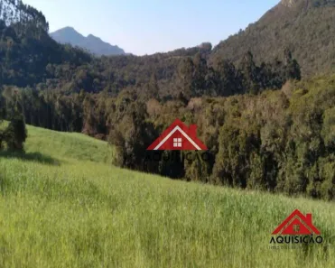 Fazenda / Sítio / Chácara com 1 Quarto à venda, 20000m² no Felpudo, Campo Largo
