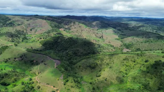 Fazenda / Sítio / Chácara à venda, 10000m² no , Canhotinho