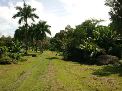 Fazenda / Sítio / Chácara com 1 Quarto à venda, 120000m² no , Antonina