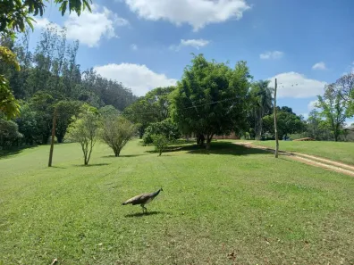 Fazenda / Sítio / Chácara à venda, 1000m² no , Alumínio