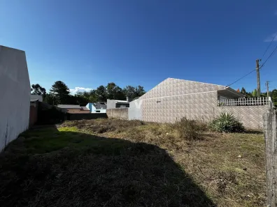 Terreno / Lote / Condomínio à venda, 300m² no Tomazetti, Santa Maria