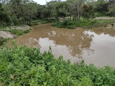 Terreno / Lote / Condomínio à venda, 20000m² no , Fortuna de Minas