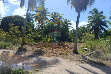Terreno / Lote / Condomínio à venda, 300m² no , Maragogi
