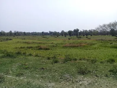 Fazenda / Sítio / Chácara com 3 Quartos à venda, 31000000m² no , Porto Murtinho