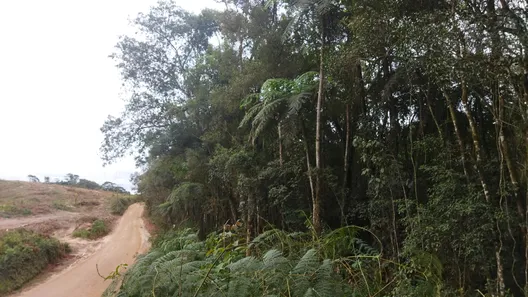 Fazenda / Sítio / Chácara com 1 Quarto à venda, 20000m² no , Campo Largo