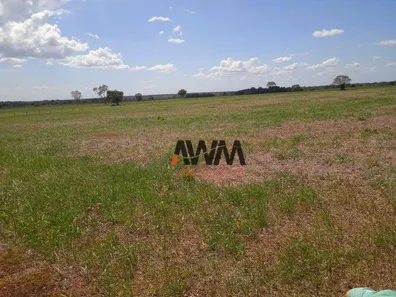 Fazenda / Sítio / Chácara à venda, 52270000m² no Javaés, Lagoa da Confusão