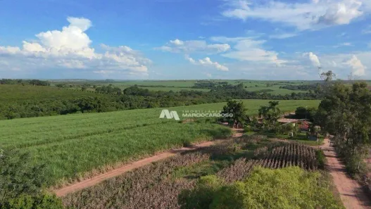 Fazenda / Sítio / Chácara com 3 Quartos à venda, 500m² no Monte Azul Paulista, Monte Azul Paulista