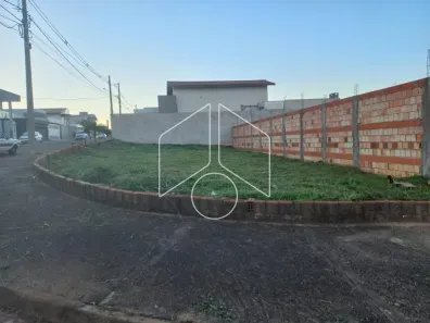 Terreno / Lote / Condomínio para alugar, 270m² no Jardim Florença, Marília