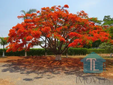 Fazenda / Sítio / Chácara com 3 Quartos à venda, 20000m² no Núcleo Rural Lago Oeste, Brasília