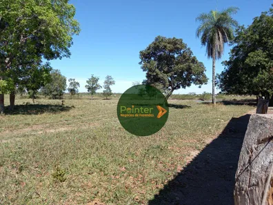 Fazenda / Sítio / Chácara à venda, 7647200m² no , Cristalândia