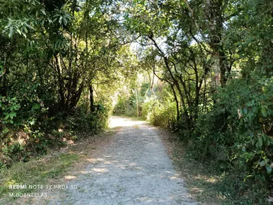 Fazenda / Sítio / Chácara com 4 Quartos à venda, 20000m² no Bom Destino, Santa Luzia