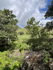 Fazenda / Sítio / Chácara à venda, 31000m² no , Joaquim Gomes
