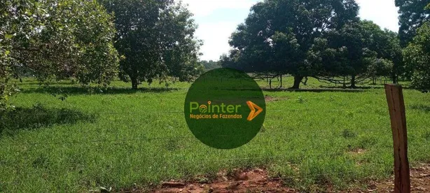 Fazenda / Sítio / Chácara à venda, 2041875m² no , Pium