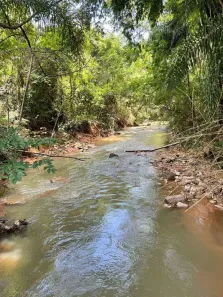 Fazenda / Sítio / Chácara com 6 Quartos à venda, 1000m² no , Alumínio