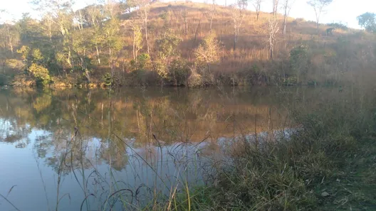 Fazenda / Sítio / Chácara à venda, 150m² no Centro, Padre Bernardo