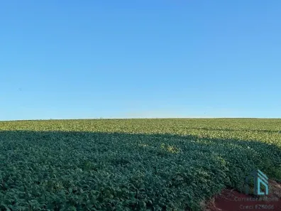 Fazenda / Sítio / Chácara com 3 Quartos à venda, 30250m² no , Guaraniaçu