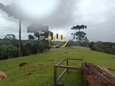 Fazenda / Sítio / Chácara com 4 Quartos à venda, 210m² no Palmitalzinho, Quatro Barras