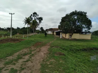 Fazenda / Sítio / Chácara com 4 Quartos à venda, 150000m² no Matriz, Vitória de Santo Antão